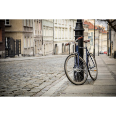 Polka Bikes - Listonosz - sklep rowerowy - 3gravity.pl
